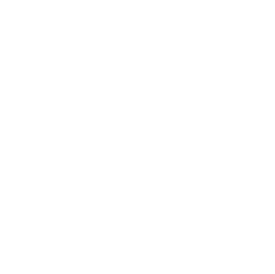 Logo pa news (1) (1)